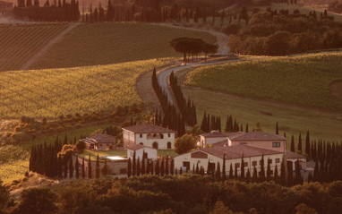 Viñedos de Società Agricola Caparzo