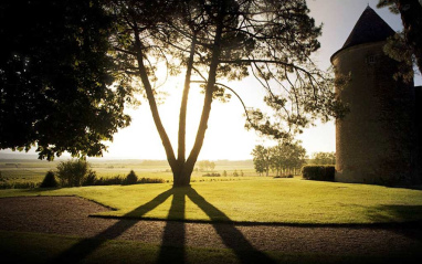 Detalle de la finca al atardecer