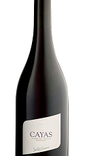 Cayas Syrah Reserva 2015