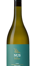 Nus del Terrer Blanc 2019