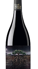 Garnacha Fosca del Priorat 2021